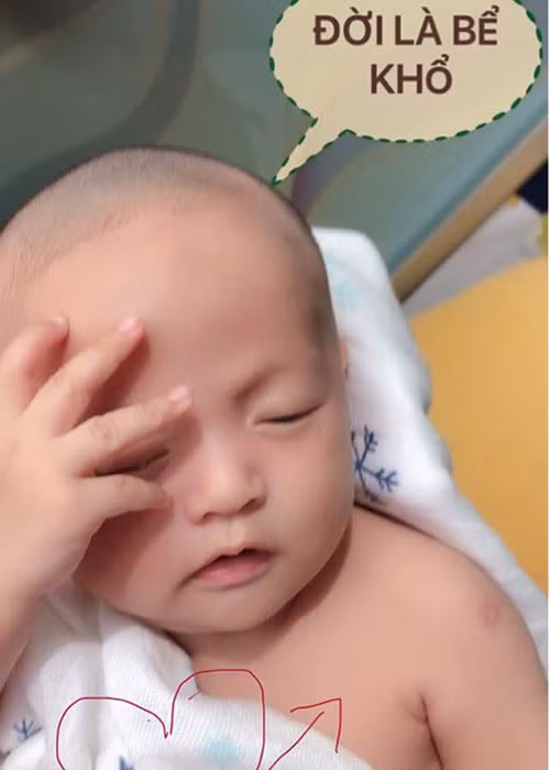 Khi vừa chào đời, bé Tết đã đốn tim người hâm mộ Thanh Thúy - Đức Thịnh bởi những biểu cảm đáng yêu.