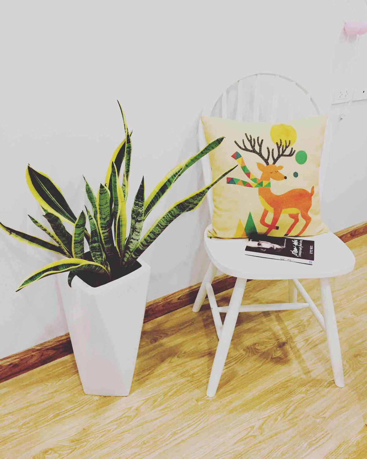 Vào ban đêm, nó hấp thụ carbon dioxide (CO2) và giải phóng oxy (ngược lại với quá trình tổng hợp oxy của hầu hết các cây). Ngoài việc làm giảm carbon dioxide, cây lưỡi hổ còn làm giảm formaldehyde, benzene - Những chất gây ung thư trong không khí.