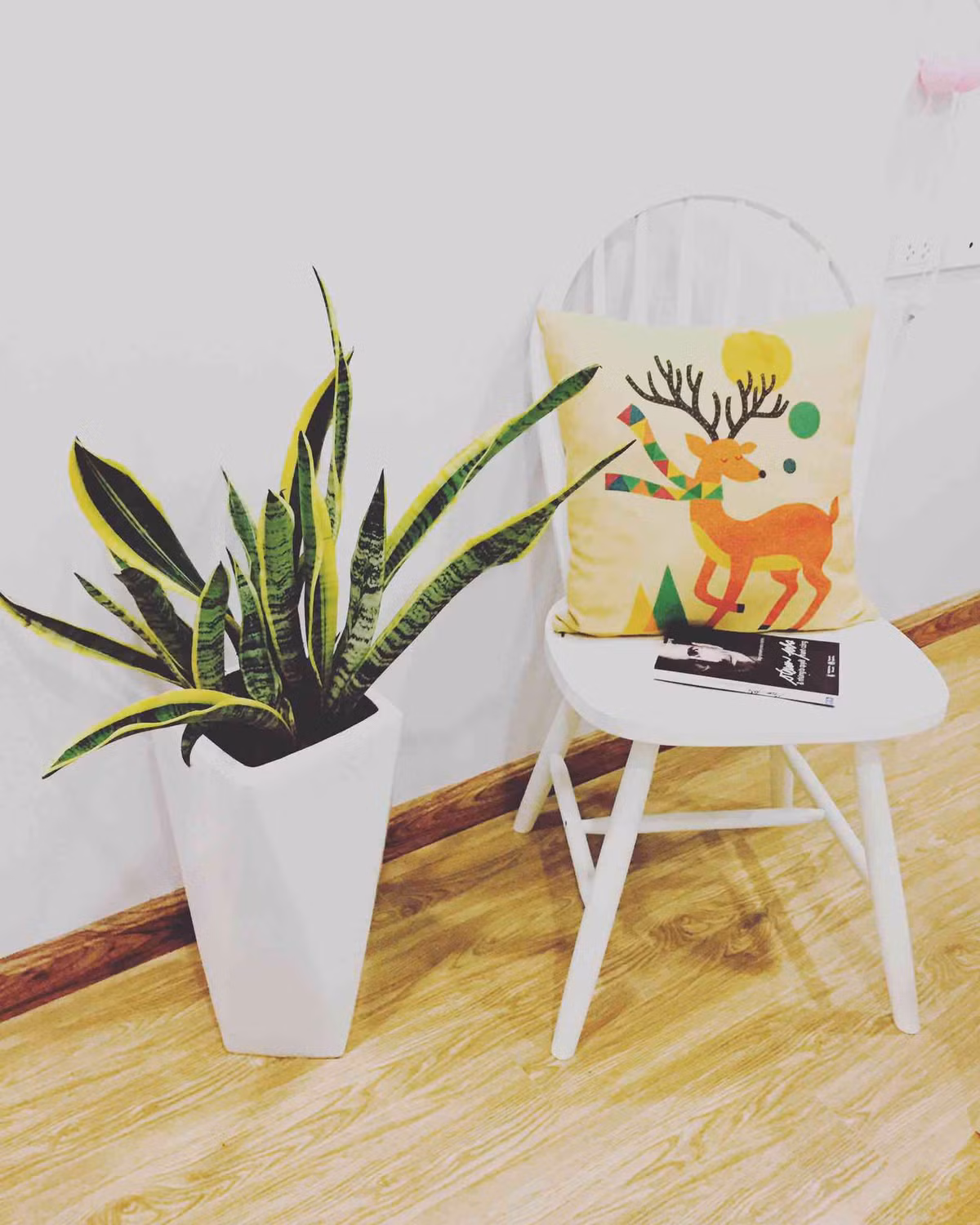 Vào ban đêm, nó hấp thụ carbon dioxide (CO2) và giải phóng oxy (ngược lại với quá trình tổng hợp oxy của hầu hết các cây). Ngoài việc làm giảm carbon dioxide, cây lưỡi hổ còn làm giảm formaldehyde, benzene - Những chất gây ung thư trong không khí.