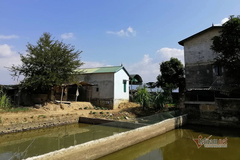 Sac mat ke chu muu sat hai nu sinh giao ga luc bi bat-Hinh-3