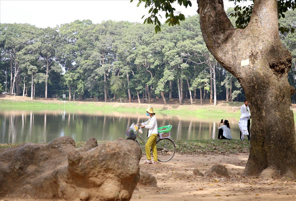 Một địa điểm nổi tiếng ở TP.Trà Vinh là ao Bà Om, nơi này có rất nhiều cây cổ thụ rợp bóng mát. Ảnh: H.T.