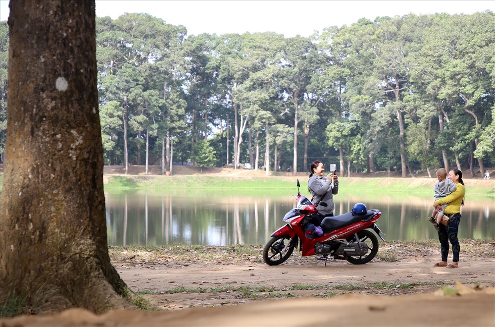 Nhiều người dân đến TP.Trà Vinh chỉ với mục đích ngắm và chụp ảnh lưu niệm với các cây cổ thụ và hít thở bầu không khí trong lành giữa màu xanh mát mắt. Ảnh: Tr.L.