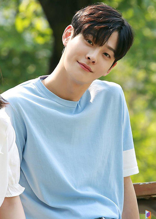 Cha In Ha được xem là diễn viên trẻ tiềm năng bởi ngoài hình sáng cùng diễn xuất tự nhiên.