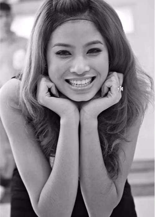 Phạm Hương miệt mài thi nhan sắc từ năm 2010 đến năm 2014 nhưng chưa chạm tay vào vương miện. Ảnh: Zing