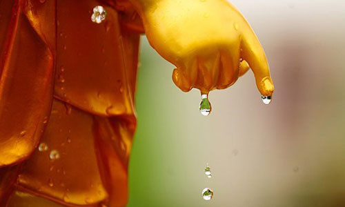 Phat day: Con nguoi muon ru sach phien nao phai biet dut bo hoan toan 2 thu sau