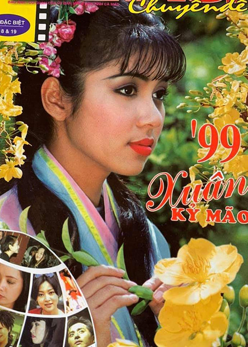 Dù không còn ở thời kỳ đỉnh cao của sự nghiệp nhưng Việt Trinh vẫn là cái tên nhận được sự quan tâm của nhiều khán giả.