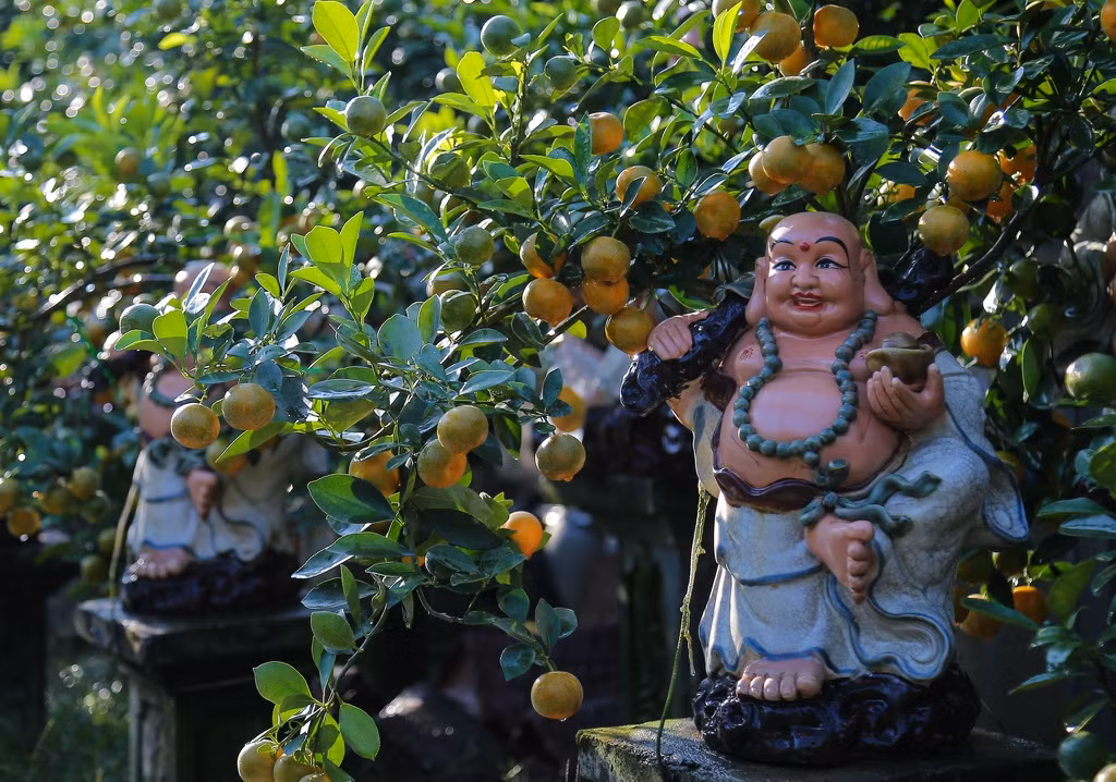 Ngoài chậu cây hình chuột, các chậu cây quất hình Thần Tài hay Phúc Lộc Thọ là sản phẩm không lỗi mốt qua các năm. Nó được cho rằng mang đến sự bình an, tài lộc, sức khoẻ cho gia chủ, nhiều khách hàng không ngại ngần chi lớn để mua trưng trong nhà dịp tết.