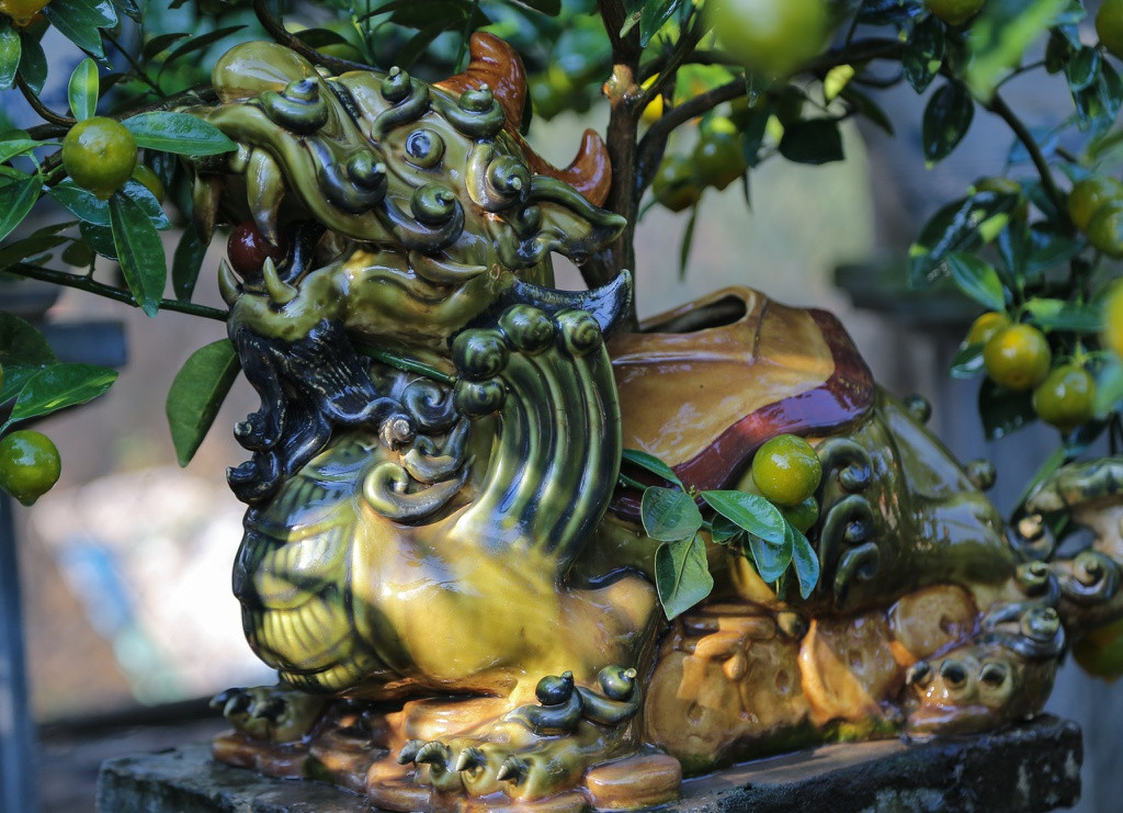 Tỳ Hưu là một linh thú có vẻ đầu lân, thân gấu. Toàn thân tỳ hưu được bao bao bọc bới lớp vẩy như rồng, trên đầu có sừng, lưng có cánh, mang ý nghĩa quan trọng trong phong thuỷ. Chính vì sự cầu kì trong thiết kế, nên phần chậu Tỳ Hưu này còn đắt hơn cả tiền quất trong chậu.