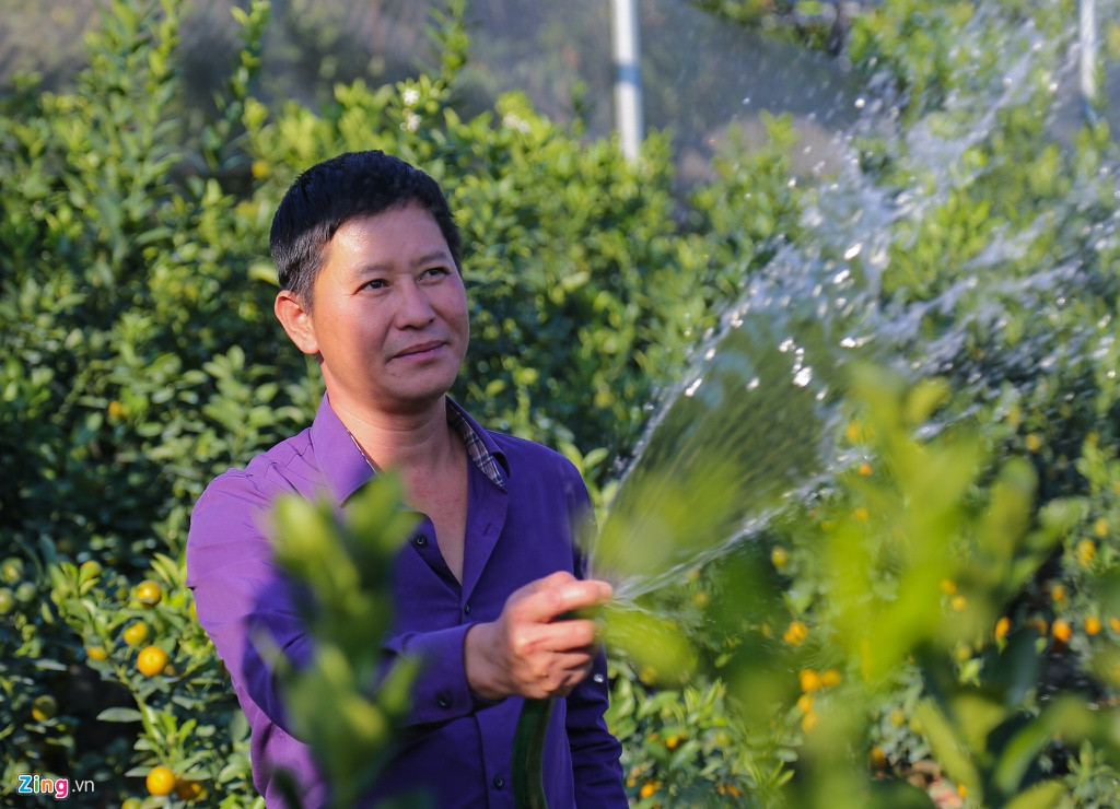 Anh Bắc Hiệp (sinh năm 1979) vốn làm trong lĩnh vực xây dựng, nhưng sớm nhận ra tiềm năng của cây quất bonsai. Với sự hỗ trợ của cô chú trong nhà có kinh nghiệm lâu năm, anh quyết định đầu tư trồng quất với số vốn ban đầu khoảng 250 triệu đồng.