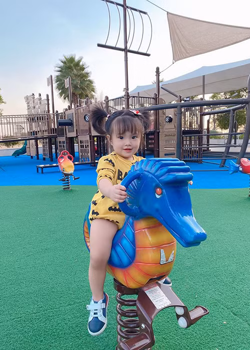 Người hâm mộ Diệp Lâm Anh khen bé Boorin xinh như búp bê, lớn lên sẽ là một mỹ nhân.