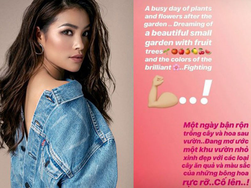 Sau khi sang Mỹ sống, Phạm Hương thường xuyên khoe trình độ tiếng Anh nhưng nhiều lần bị bóc mẽ sử dụng công cụ google dịch và mắc lỗi.