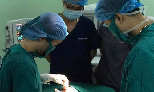 Be 4 tuoi nguy kich sau khi bi cho pitbull can