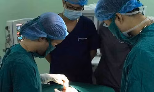 Be 4 tuoi nguy kich sau khi bi cho pitbull can