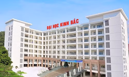 Khoi to, bat tam giam nu Pho Hieu truong DH Kinh Bac