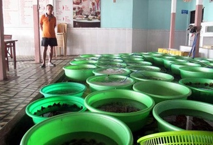 Thu tuong nghiem cam buon ban, su dung ca chet mien Trung