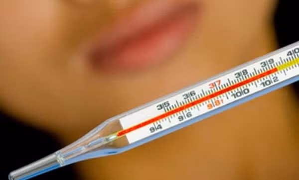 Khi thân nhiệt cao. Không nên dùng gừng vì nó có thể làm tăng thêm nhiệt độ cơ thể. Tuy nhiên, nếu bị nhiễm cúm virus mà không bị sốt hoặc sốt nhẹ vẫn có thể dùng gừng. Còn khi đã sốt cao với những tổn thương mạch máu và có xu hướng sốt xuất huyết thì không được dùng gừng.