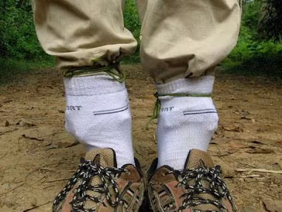 Bạn cũng nên lưu ý, khi đi du lịch đặc biệt là trong rừng sâu, nơi ẩm thấp, bạn nên mặc quần áo dài tay, bịt kín các vùng hở như cổ, tay, chân. Đồng thời, khi dựng trại cần tránh nơi ẩm ướt vì rất dễ có muỗi và các loại côn trùng khác cư trú.