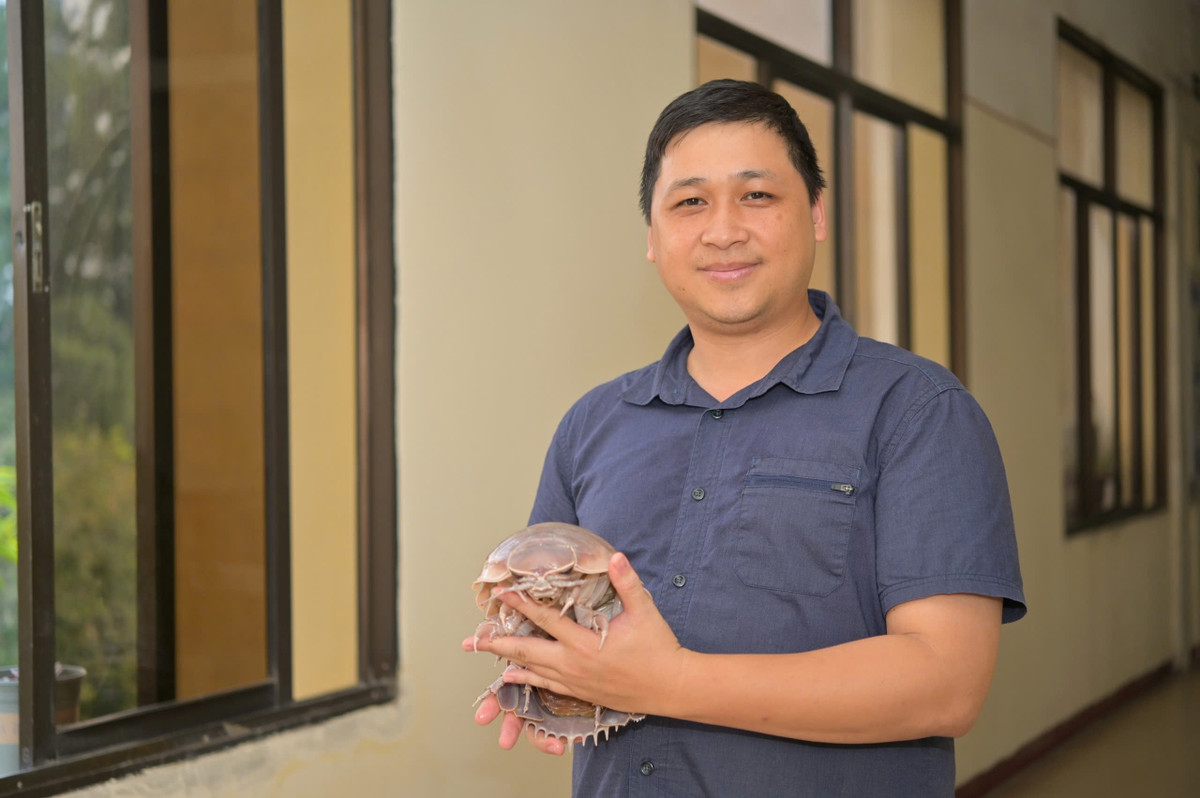 Viet Nam phat hien loai bo bien 