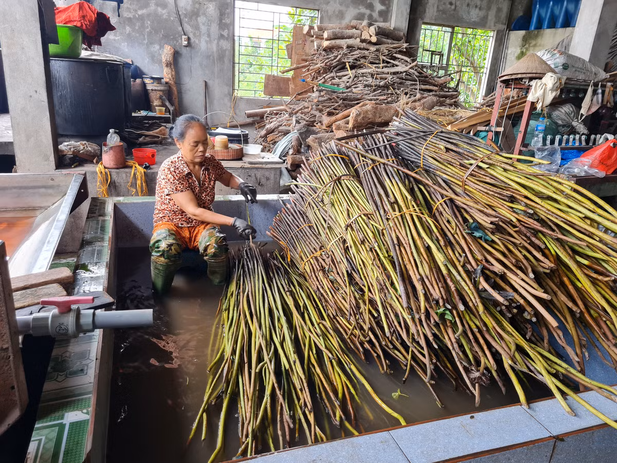 Nghe nhan Phan Thi Thuan: Doc dao ky thuat det lua to sen-Hinh-2