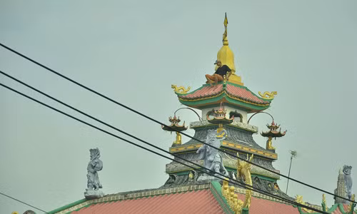 Dang “giai cuu” nam thanh nien co thu tren noc chua o TP.HCM-Hinh-2