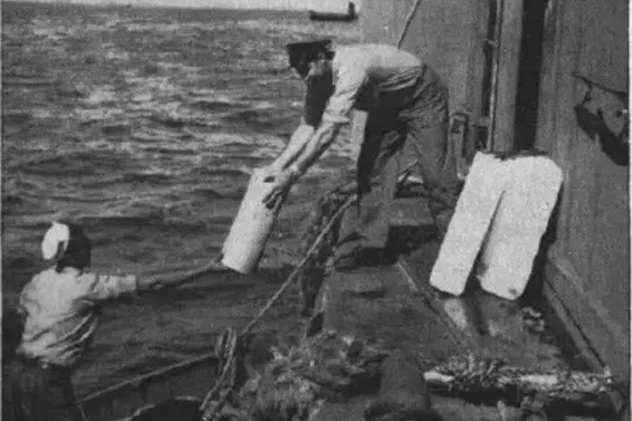 Do nguồn cung khan hiếm trong thời chiến, người dân Mỹ còn được nhắc nhở rằng, nếu họ thiếu kem ăn thì có nghĩa là họ đang chia sẻ món ăn bổ dưỡng này với các binh sĩ.