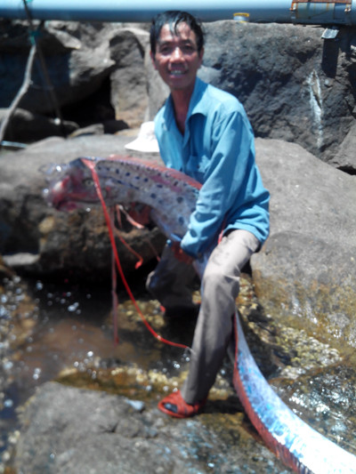 Năm 2014, người dân Đà Nẵng câu được một loài thủy quá khủng giống rồng gây xôn xao dư luận.