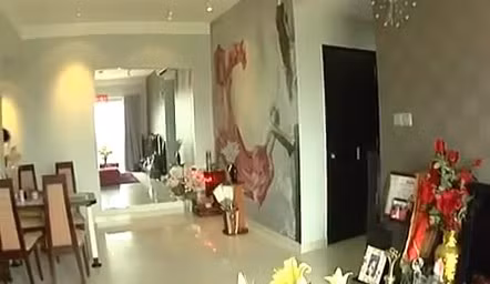 Tai san kech xu cua sieu mau chan dai Thanh Hang-Hinh-3