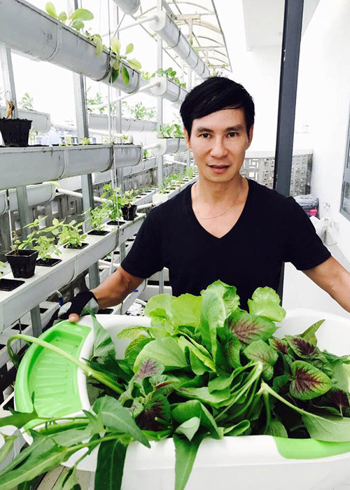 Lý Hải giàu có và thành công nhưng vẫn chọn cách sống đơn giản. Anh tự mình trồng rau trên sân nhà, cho con học trường với mức chi phí bình dân.