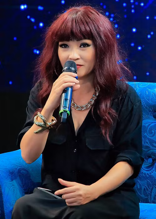 Từ năm 2010, Phương Thanh rơi vào bế tắc vì bị mất giọng. Thế nên, cô chuyển sang đóng phim, tham gia các game show để giữ lửa nghề.