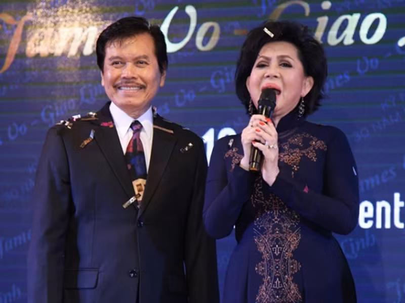 “Nữ hoàng sầu muộn” hiện hoạt động nghệ thuật ở Việt Nam. Mới đây, danh ca Giao Linh tiết lộ, bà vừa trải qua cơn đột quỵ tưởng chừng không qua khỏi. Ảnh: Vietnamnet