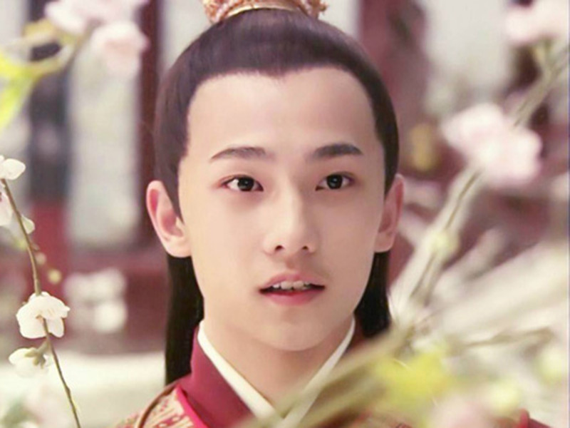 Dương Dương sinh năm 1991, kém Lưu Diệc Phi 4 tuổi. Anh bước chân vào làng giải trí với vai diễn Giả Bảo Ngọc trong Tân hồng lâu mộng năm 2008. Tuy nhiên, mãi đến năm 2016, Dương Dương mới vụt sáng nhờ vai diễn trong phim "Yêu em từ cái nhìn đầu tiên" đóng cùng Trịnh Sảng.