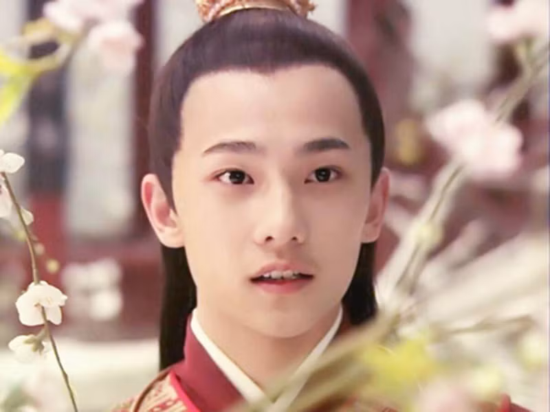 Dương Dương sinh năm 1991, kém Lưu Diệc Phi 4 tuổi. Anh bước chân vào làng giải trí với vai diễn Giả Bảo Ngọc trong Tân hồng lâu mộng năm 2008. Tuy nhiên, mãi đến năm 2016, Dương Dương mới vụt sáng nhờ vai diễn trong phim "Yêu em từ cái nhìn đầu tiên" đóng cùng Trịnh Sảng.