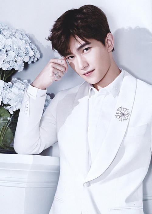 Nam diễn viên lâu nay bị đánh giá diễn xuất một màu, thiếu chiều sâu.