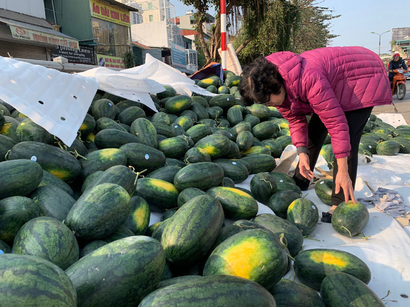 Dua hau e chat dong via he Ha Noi, dau nam te tai giua gia ret-Hinh-8
