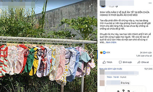 Phoi quan ao cho meo, nu sinh bi ca xom don la “chua hoang”