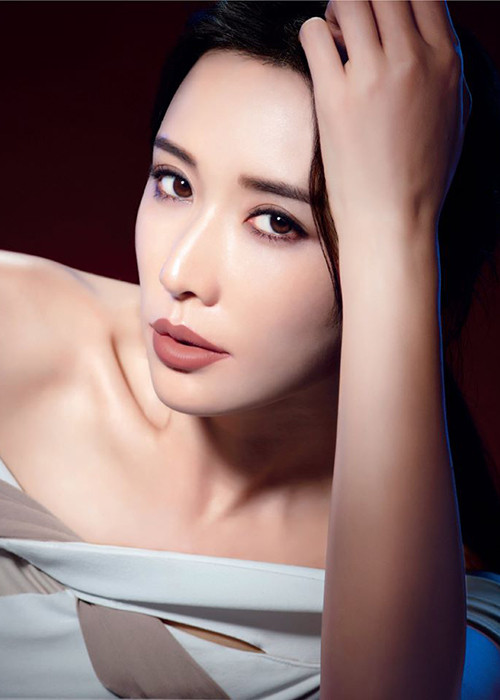 Khi mới vào nghề, Lâm Chí Linh sẵn sàng sang Nhật chụp ảnh gợi cảm. Sau này hình ảnh thời 19 tuổi mặc bikini hay tạo dáng phản cảm bị phát tán khiến cô phải thú nhận "chỉ là chuyện quá khứ".