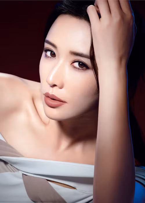 Khi mới vào nghề, Lâm Chí Linh sẵn sàng sang Nhật chụp ảnh gợi cảm. Sau này hình ảnh thời 19 tuổi mặc bikini hay tạo dáng phản cảm bị phát tán khiến cô phải thú nhận "chỉ là chuyện quá khứ".