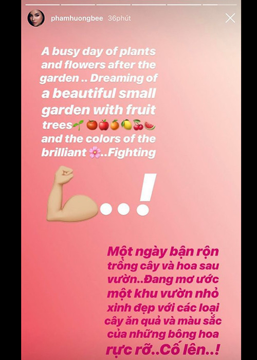 Pham Huong lai bi fan mia mai sai tieng Anh, goi King Crab la cua Tuyet-Hinh-3