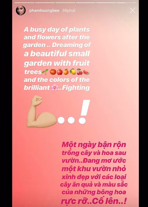 Pham Huong lai bi fan mia mai sai tieng Anh, goi King Crab la cua Tuyet-Hinh-3