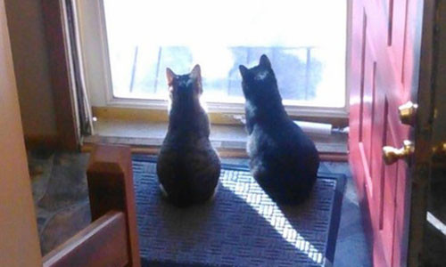 He lo bi mat sau viec 