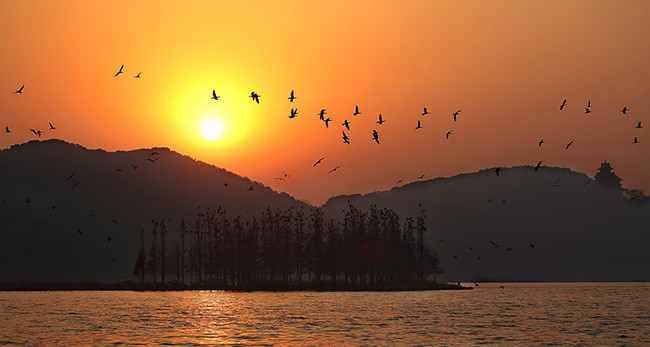 Hồ: Ở Vũ Hán có rất nhiều hồ nước đẹp tuyệt vời. Hồ nổi tiếng nhất và thường xuyên có du khách ghé thăm là hồ Đông. Điểm tham quan rộng lớn và đẹp như tranh vẽ này được chia thành năm khu danh lam thắng cảnh độc đáo và là hồ nội thành lớn nhất ở Trung Quốc.