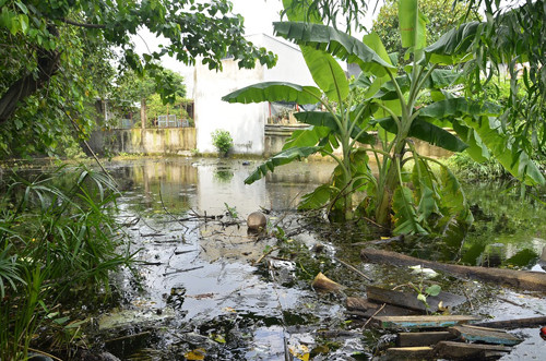 Nước tù đọng lâu ngày bốc mùi hôi thối và ô nhiễm nghiêm trọng. Tuy nhiên, cụ Tới và con gái vẫn phải bám trụ để giữ tài sản. Theo bà Kim thì bà và mẹ cũng có con cháu nhưng ai cũng bận rộn với công cuộc mưu sinh nên tất cả đã rời nhà đi thuê phòng trọ khác để ở. Vì phải canh giữ tài sản, vật dụng trong gia đình nên bà Kim và mẹ phải cố gắng bám trụ chờ nước rút.