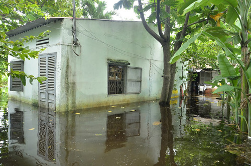 Bà Nguyễn Thị Kim (46 tuổi, con gái cụ Tới) kể lại: Trong cơn mưa như trút nước chiều 15/9, nước tràn vào khắp xóm và sân nhà tôi bị ngập sâu hơn 1m gây hư hỏng nặng nề về tài sản. Tuy nhiên sau đó nhà ai cũng ổn định lại cuộc sống duy chỉ có gia đình tôi vẫn bị nước cô lập và cuộc sống của gia đình bị đảo lộn hoàn toàn”. 