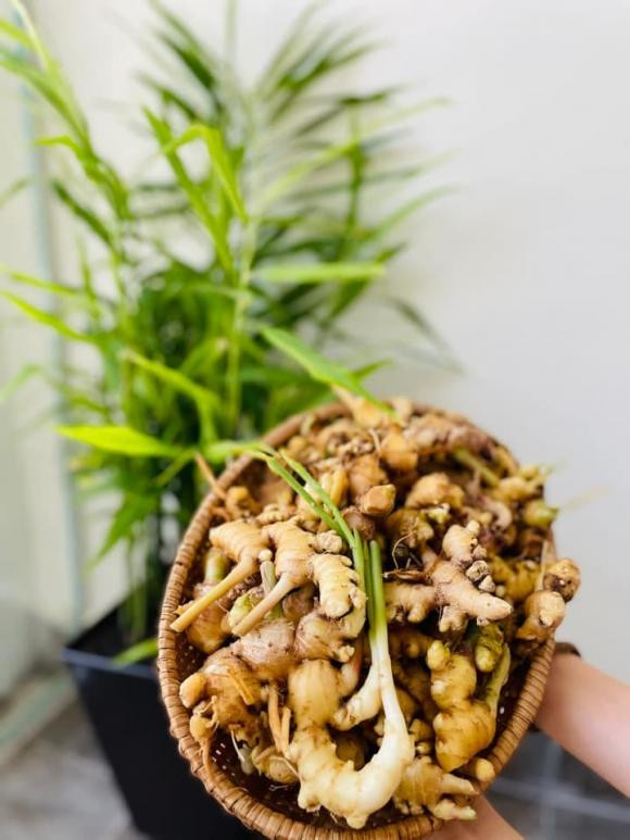 Lời chia sẻ của Huyền Anh khiến cộng đồng mạng xôn xao. Nhiều người bất ngờ khi biết về “tuổi thơ dữ dội” của hot girl 9X.