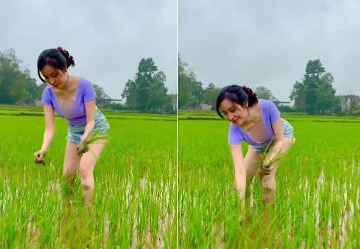 Trước đó, bà Tưng từng nhiều lần làm netizen "nóng mắt" khi diện áo khoét cổ sâu để đi làm ruộng.