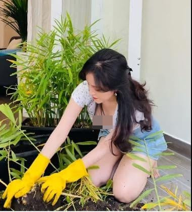 Mới đây, bà Tưng đăng tải clip đi thu hoạch gừng và ngay lập tức gây chú ý bởi chiếc áo rộng cổ mà cô nàng diện.