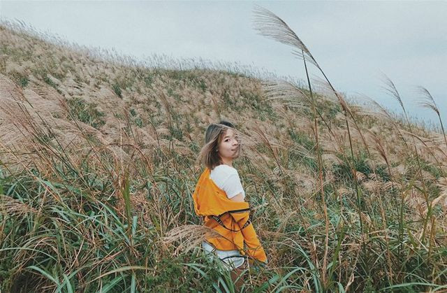 Bạn sẽ được chiêm ngưỡng cảnh sắc của núi rừng bạt ngàn, tận hưởng cảm giác chạm tới mây trời, tha hồ sống ảo.