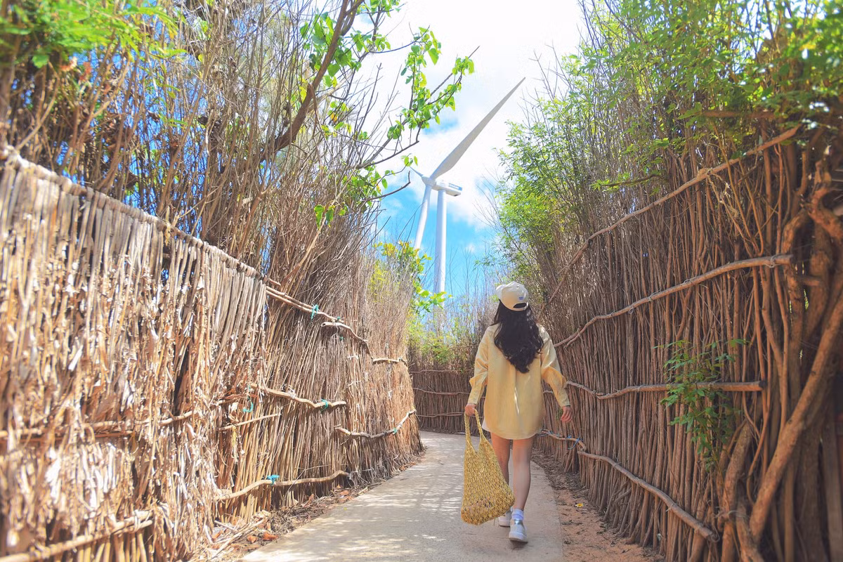 Trước đây, việc di chuyển ra đảo Phú Quý khá khó khăn nên hằng ngày chỉ có một chuyến tàu ra đảo nhưng chủ yếu phục vụ nhu cầu thiết yếu của người dân trên đảo.