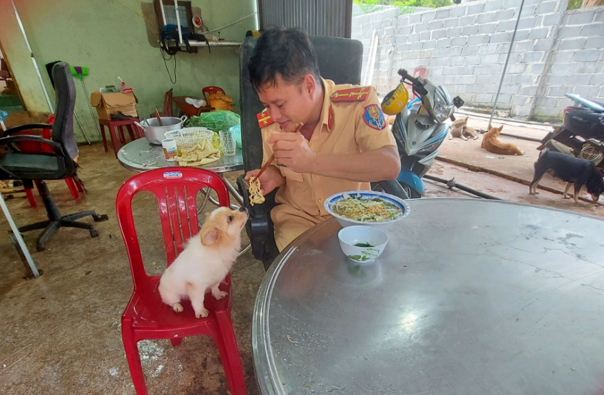 Tới hơn 11h khi đi làm về lại tất bật nấu cháo, đổ thức ăn ra tô cho từng chú một, có những bé mèo hay chó bị liệt, Dương lại đến tận chỗ để bón cơm vào miệng cho chúng. Cuối giờ chiều mọi quy trình lại lặp lại một lần nữa cho tới 2, 3 giờ sáng, chàng trai mới bắt đầu lo cho giấc ngủ của mình.