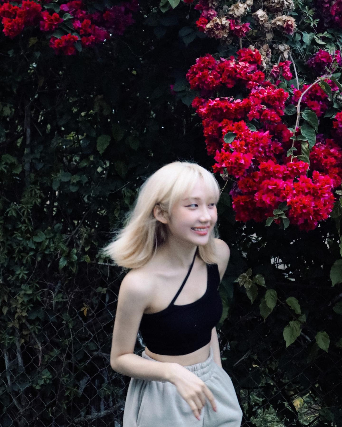 Trong loạt ảnh mới nhất, hot girl Mina Young chụp ảnh bên cạnh giàn hoa giấy đang nở. Tưởng sẽ là một concept nhẹ nhàng như nàng thơ, vậy mà nữ streamer lại có phong cách thời trang khá ấn tượng.